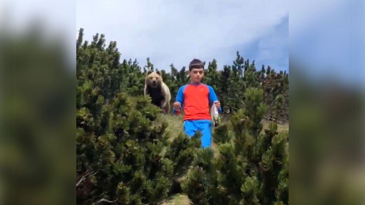 Video: Hlavně nezpanikařit, 12letý Ital ukázkově „unikl“ medvědovi